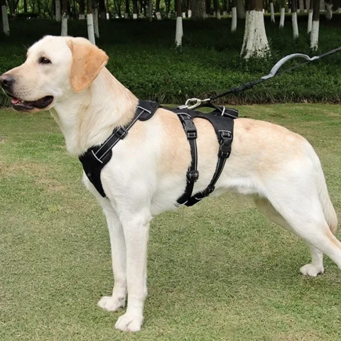 harnais chien tactique noir anti traction durable