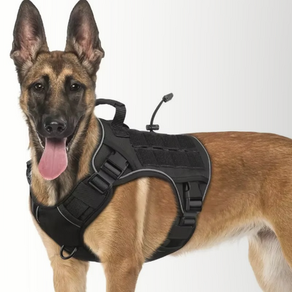 harnais chien tactique noir elegant