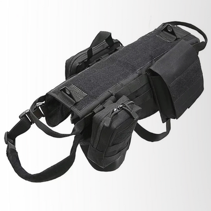 harnais chien tactique noir polyvalent