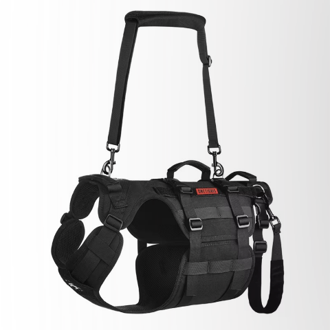 harnais chien tactique noir pratique
