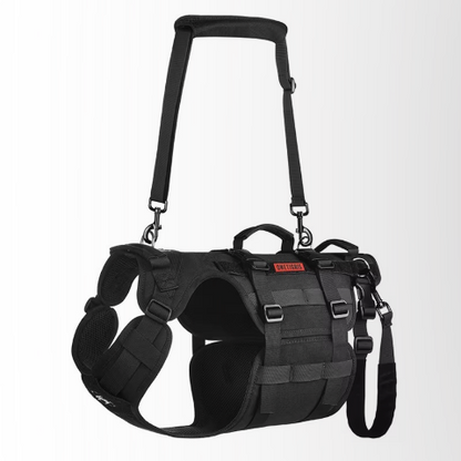 harnais chien tactique noir pratique