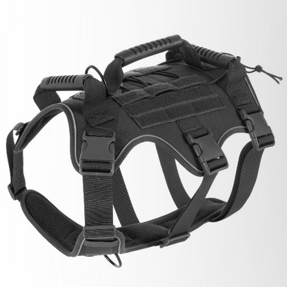 harnais chien tactique noir premium