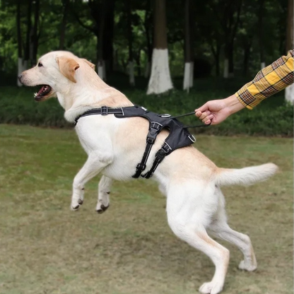 harnais chien tactique noir revolutionnaire