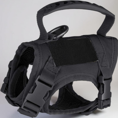 harnais chien tactique noir