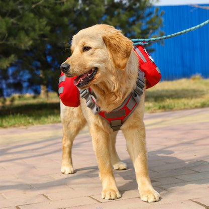 harnais chien tactique offrant la liberte a votre chien