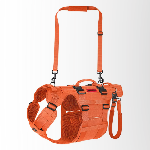 harnais chien tactique orange confortable