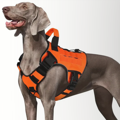 HARNAIS CHIEN TACTIQUE | K9ARMOR™