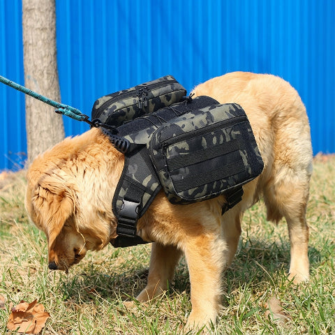 harnais chien tactique pour randonnees securisees