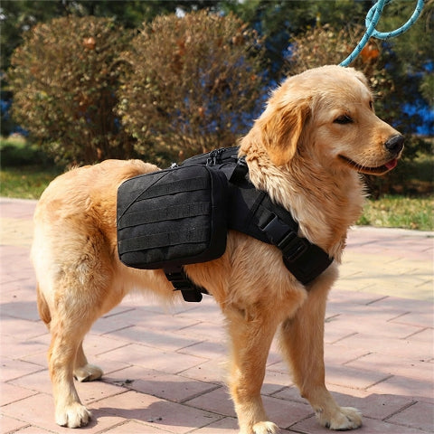 harnais chien tactique rembourrage protecteur