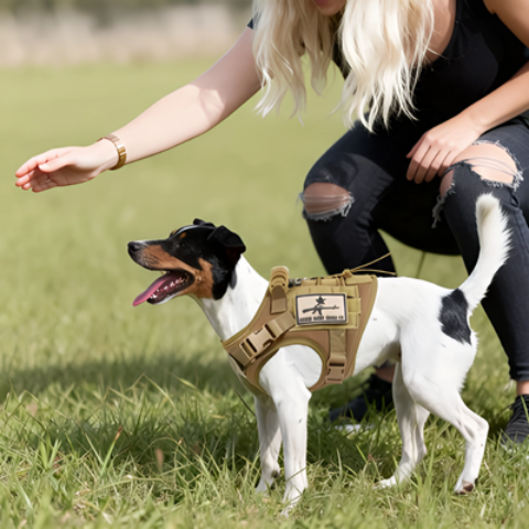 harnais chien tactique robuste