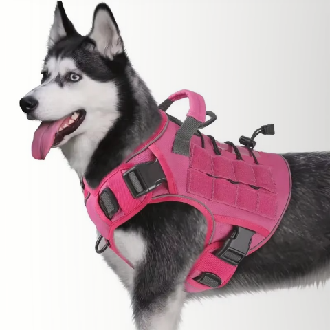 harnais chien tactique rose reflechissant