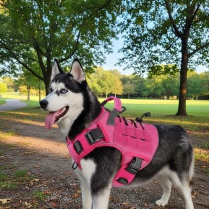 Harnais chien tactique rose