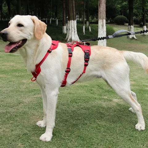 harnais chien tactique rouge en tissu oxford