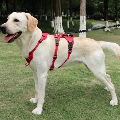 harnais chien tactique rouge en tissu oxford