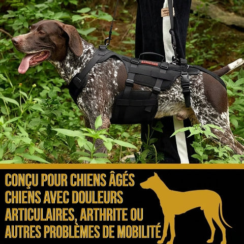 harnais chien tactique soutien complet du corps