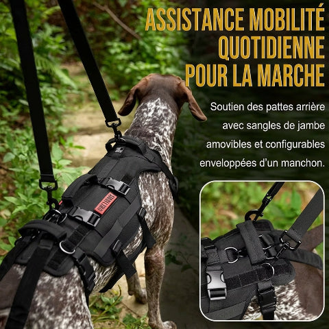 harnais chien tactique support complet du corps