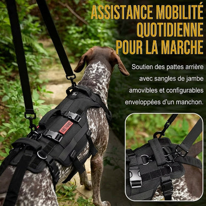 harnais chien tactique support complet du corps