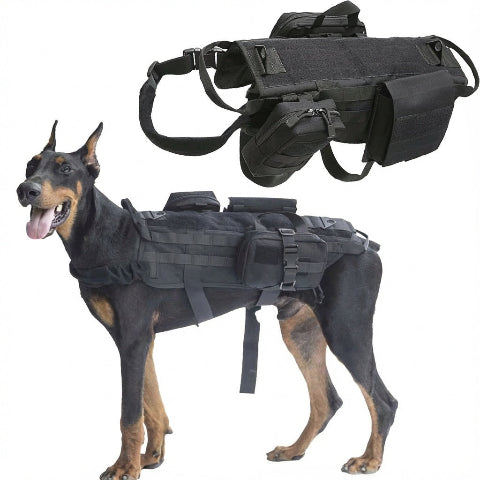 harnais chien tactique systeme de fixation rapide