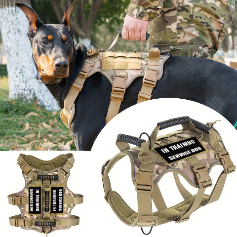harnais chien tactique systeme intelligent