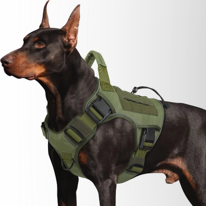 harnais chien tactique vert arme respirant