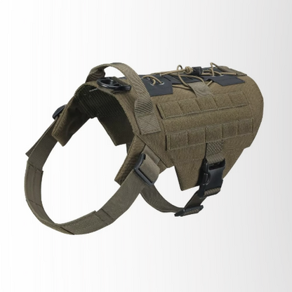 harnais chien tactique vert durable