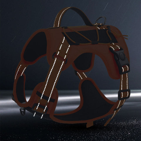 harnais chien tactique visible la nuit