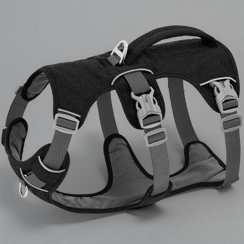harnais chien triple sangle avec poignee noir