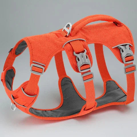harnais chien triple sangle avec poignee orange