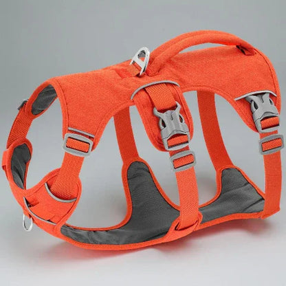 harnais chien triple sangle avec poignee orange