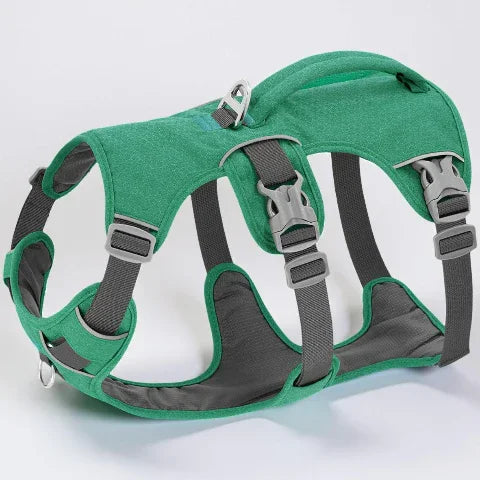 harnais chien triple sangle avec poignee vert