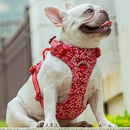 HARNAIS CHIEN | TRUELOVE - Les chiens beaux