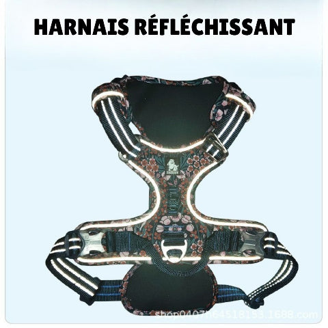 harnais chien truelove reflechissant la nuit