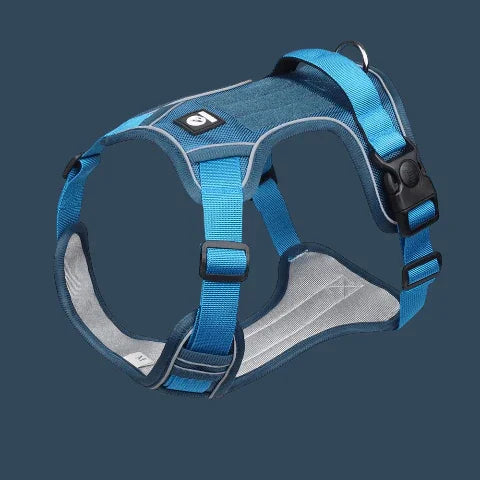 harnais chien veste tactique bleu