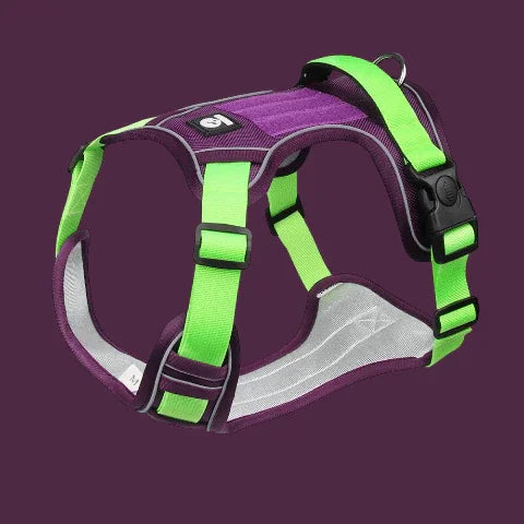 harnais chien veste tactique vert violet