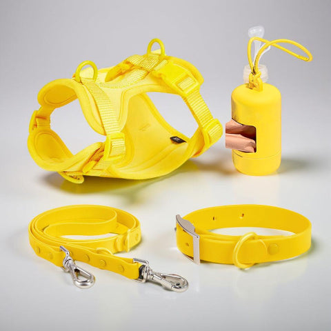 harnais laisse collier sac a crotte anti traction chien jaune