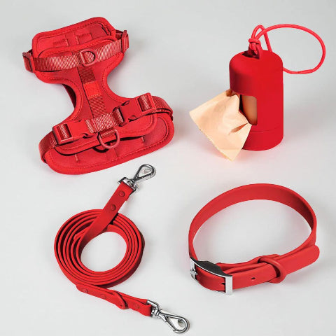 harnais laisse collier sac a crotte anti traction chien rouge joli