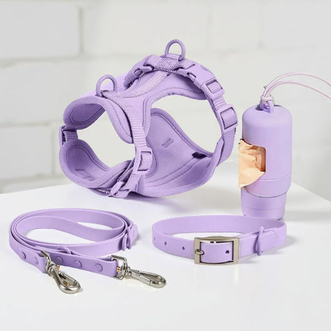 harnais laisse collier sac a crotte anti traction chien violet