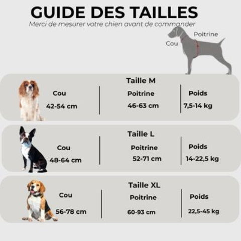 harnais militaire chien Nightsafe Guide des tailles
