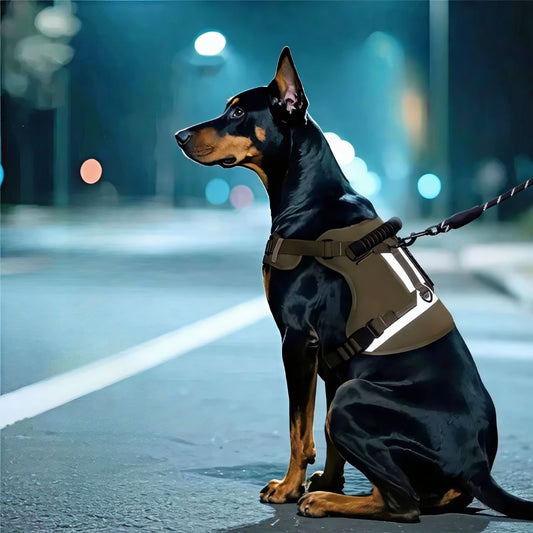 harnais militaire pour chien confortable