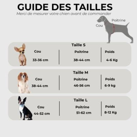harnais petit chien Guide des tailles