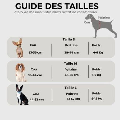 harnais petit chien Guide des tailles
