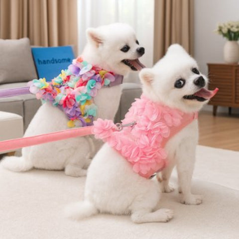 Harnais petit Chien avec des jolis coloris