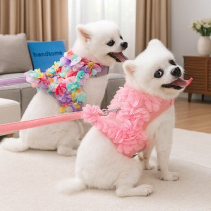 Harnais petit Chien avec des jolis coloris