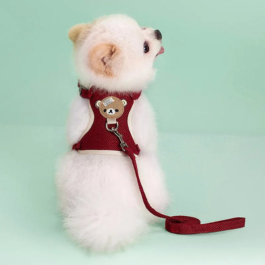 Harnais petit chien | Laisse pour lapin - Les chiens beaux