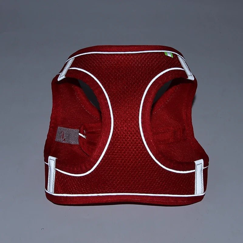 HARNAIS PETIT CHIEN | MINIPAWFIT - Les chiens beaux