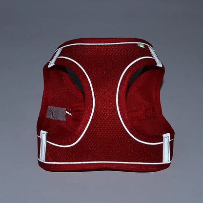 HARNAIS PETIT CHIEN | MINIPAWFIT - Les chiens beaux