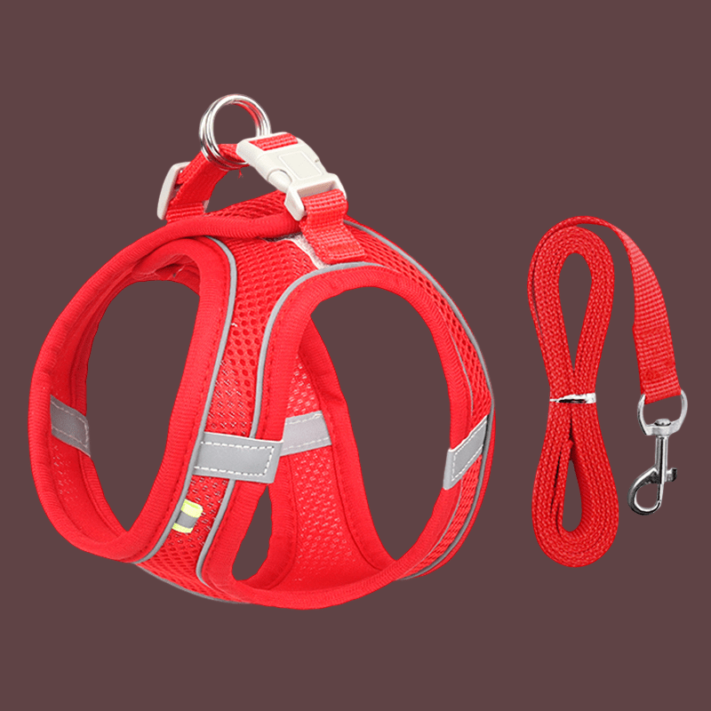HARNAIS PETIT CHIEN | MINIPAWFIT - Les chiens beaux