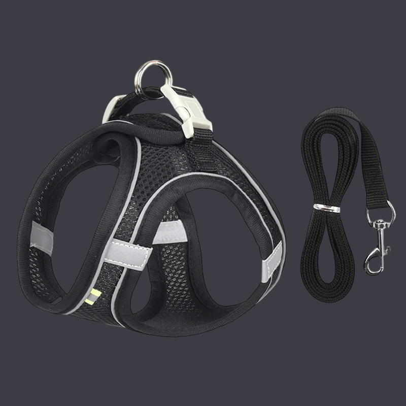 HARNAIS PETIT CHIEN | MINIPAWFIT - Les chiens beaux