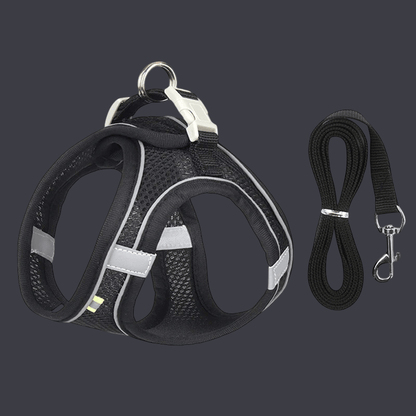 HARNAIS PETIT CHIEN | MINIPAWFIT - Les chiens beaux