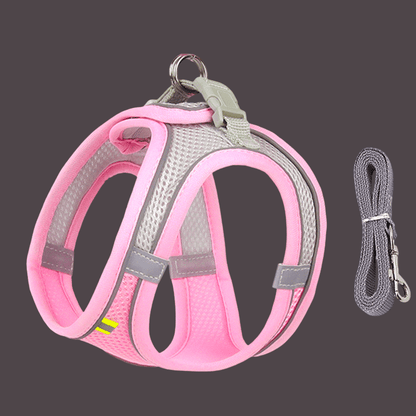 HARNAIS PETIT CHIEN | MINIPAWFIT - Les chiens beaux